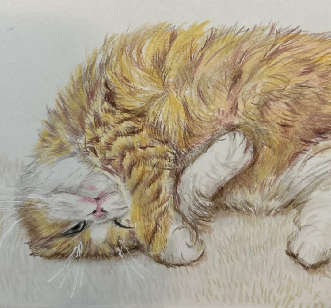 Amazon.co.jp: 猫 絵画 子猫 イラスト 水彩色鉛筆 油彩色鉛筆 原画